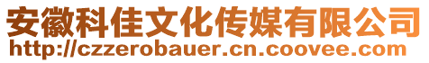 安徽科佳文化傳媒有限公司