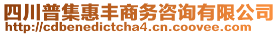 四川普集惠豐商務(wù)咨詢(xún)有限公司