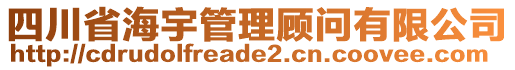 四川省海宇管理顧問有限公司