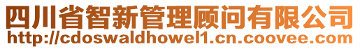 四川省智新管理顧問(wèn)有限公司