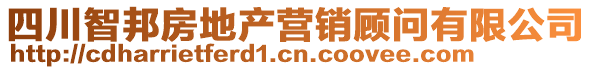 四川智邦房地產(chǎn)營銷顧問有限公司