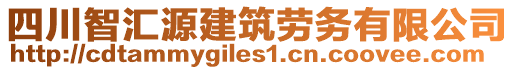 四川智匯源建筑勞務(wù)有限公司