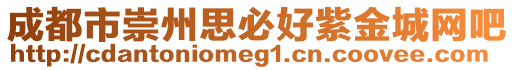 成都市崇州思必好紫金城網(wǎng)吧