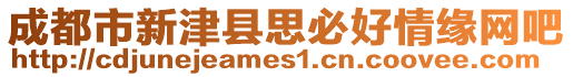 成都市新津縣思必好情緣網吧