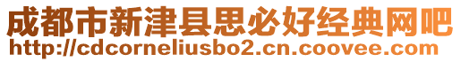 成都市新津縣思必好經(jīng)典網(wǎng)吧