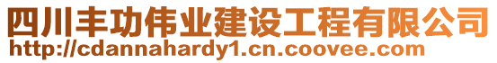 四川豐功偉業(yè)建設(shè)工程有限公司