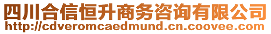 四川合信恒升商務咨詢有限公司
