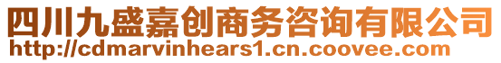 四川九盛嘉创商务咨询有限公司