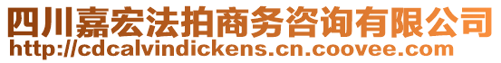 四川嘉宏法拍商務(wù)咨詢有限公司