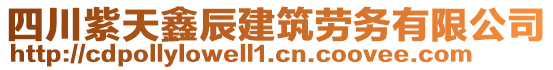 四川紫天鑫辰建筑勞務(wù)有限公司