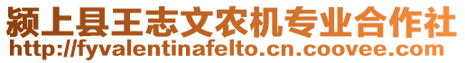 潁上縣王志文農(nóng)機專業(yè)合作社