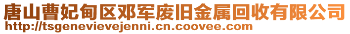 唐山曹妃甸区邓军废旧金属回收有限公司