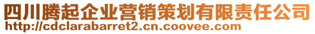 四川騰起企業(yè)營銷策劃有限責(zé)任公司