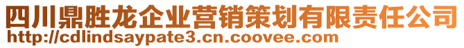 四川鼎勝龍企業(yè)營銷策劃有限責(zé)任公司