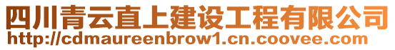 四川青云直上建設(shè)工程有限公司