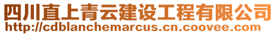 四川直上青云建設工程有限公司