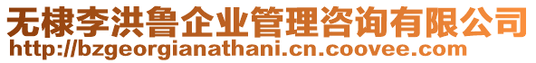 無棣李洪魯企業(yè)管理咨詢有限公司