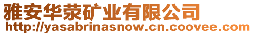 雅安華滎礦業(yè)有限公司