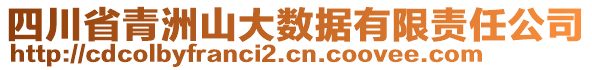 四川省青洲山大數(shù)據(jù)有限責(zé)任公司