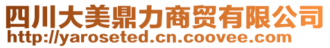 四川大美鼎力商貿(mào)有限公司