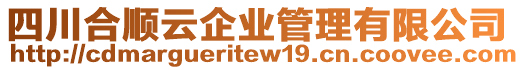 四川合順云企業(yè)管理有限公司