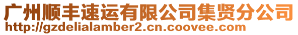 广州顺丰速运有限公司集贤分公司