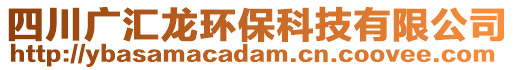 四川廣匯龍環(huán)保科技有限公司