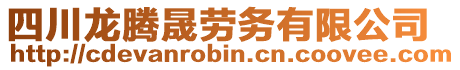 四川龍騰晟勞務(wù)有限公司