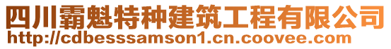 四川霸魁特種建筑工程有限公司