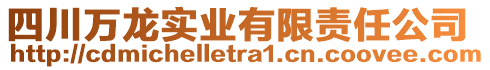 四川萬龍實業(yè)有限責任公司