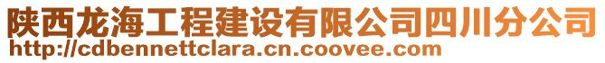 陜西龍海工程建設(shè)有限公司四川分公司