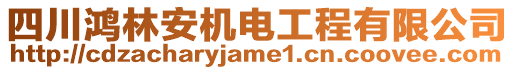 四川鴻林安機(jī)電工程有限公司