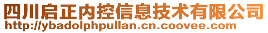 四川啟正內(nèi)控信息技術(shù)有限公司