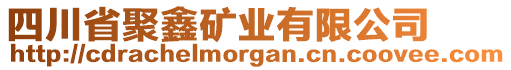 四川省聚鑫礦業(yè)有限公司