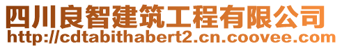 四川良智建筑工程有限公司