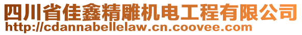 四川省佳鑫精雕機(jī)電工程有限公司