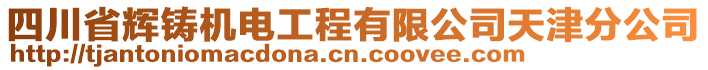 四川省輝鑄機(jī)電工程有限公司天津分公司