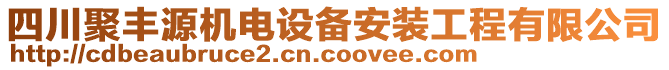 四川聚豐源機(jī)電設(shè)備安裝工程有限公司