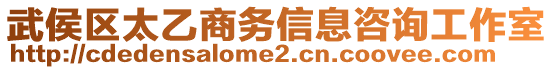 武侯區(qū)太乙商務(wù)信息咨詢工作室