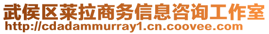 武侯區(qū)萊拉商務(wù)信息咨詢工作室