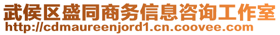 武侯區(qū)盛同商務(wù)信息咨詢工作室