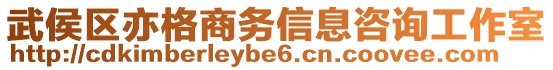 武侯區(qū)亦格商務(wù)信息咨詢(xún)工作室