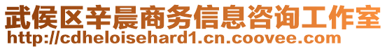 武侯區(qū)辛晨商務(wù)信息咨詢工作室