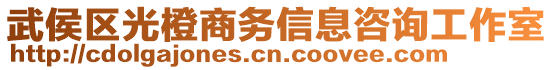 武侯區(qū)光橙商務(wù)信息咨詢工作室