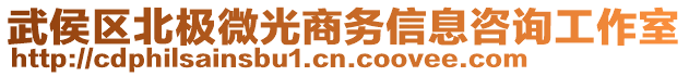 武侯區(qū)北極微光商務(wù)信息咨詢工作室