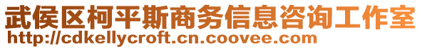 武侯區(qū)柯平斯商務信息咨詢工作室