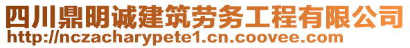 四川鼎明誠(chéng)建筑勞務(wù)工程有限公司