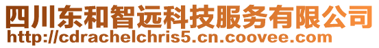 四川東和智遠科技服務有限公司