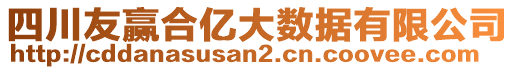 四川友贏合億大數(shù)據(jù)有限公司