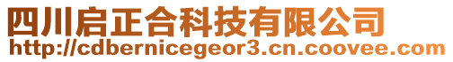 四川啟正合科技有限公司